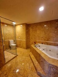 Orchard Scotts (D9), Condominium #502514541